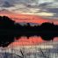 guided coarse fishing ireland