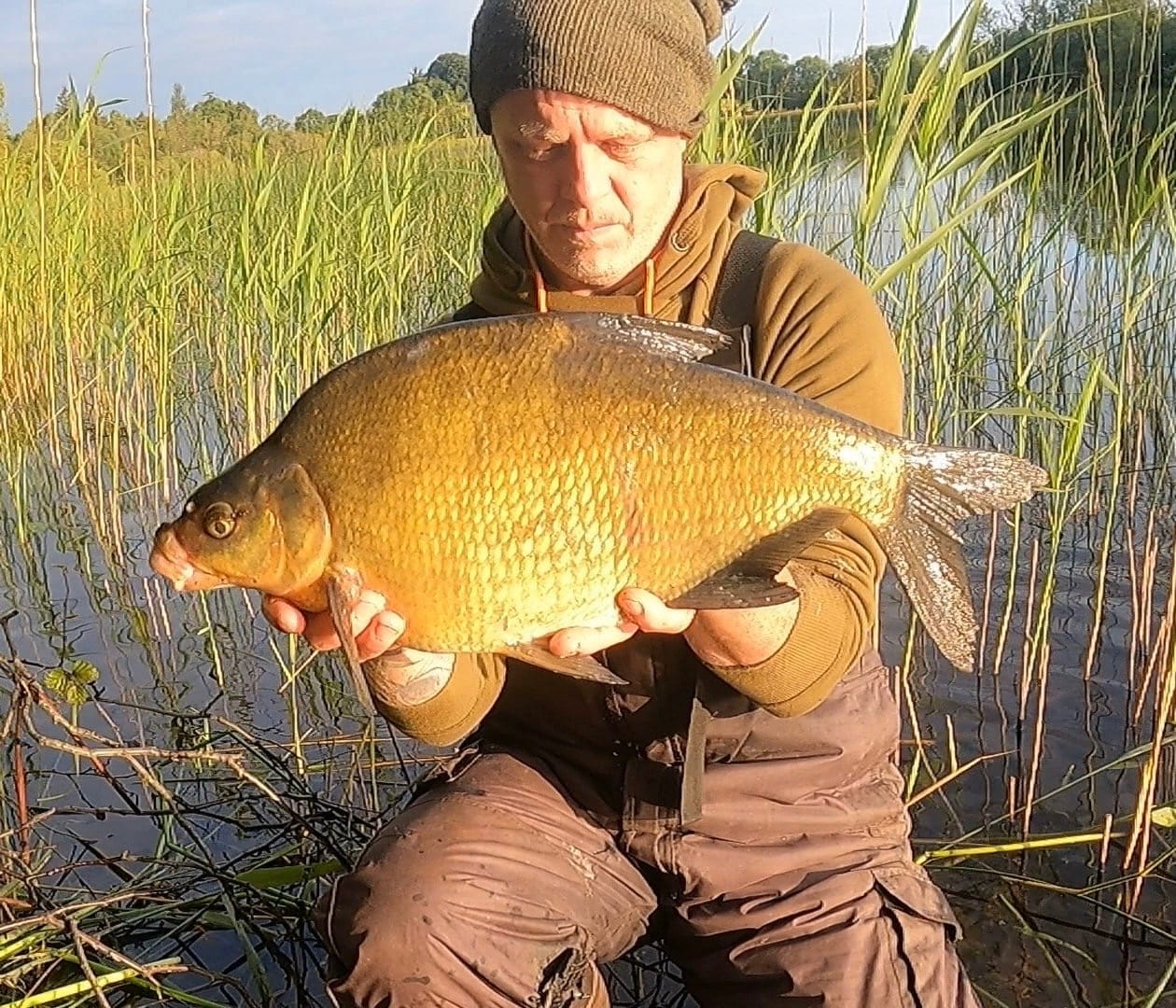 guided coarse fishing ireland tench and bream roach rudd guided coarse fishing ireland tench and bream roach rudd