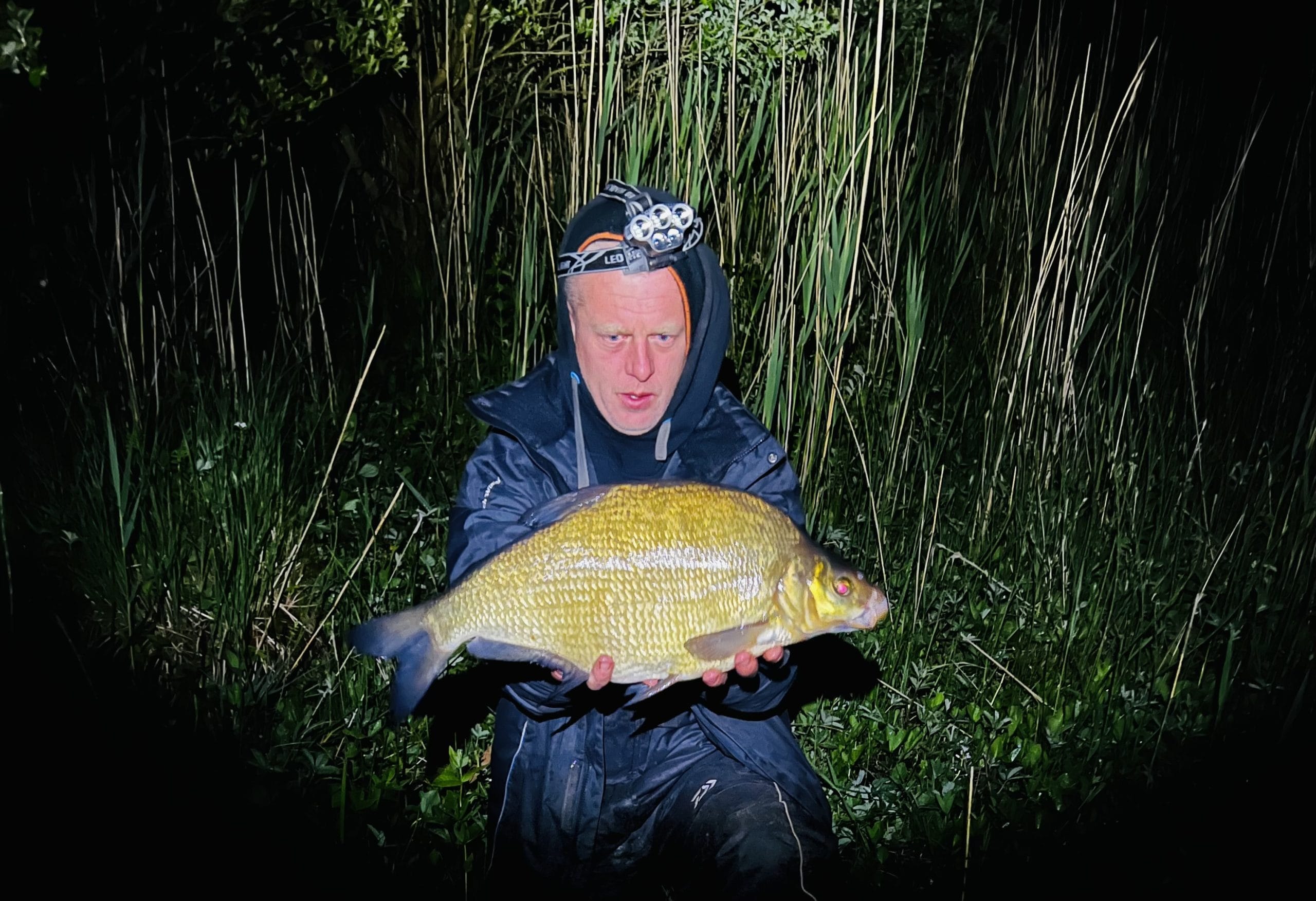 bream fishing at night bream fishing at night