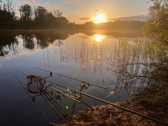 guided coarse fishing ireland tench and bream roach rudd guided coarse fishing ireland tench and bream roach rudd