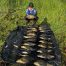bream fishing in leitrim roscommon sligo