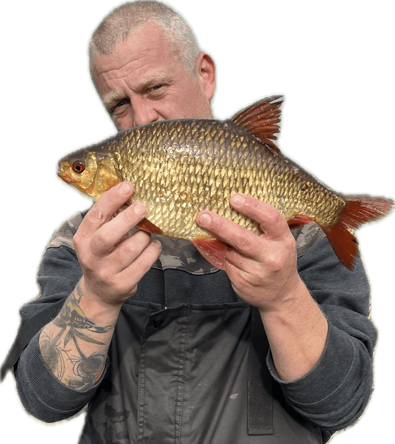 guided coarse fishing ireland tench and bream roach rudd