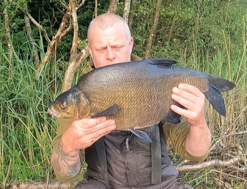 Big Summer Bream