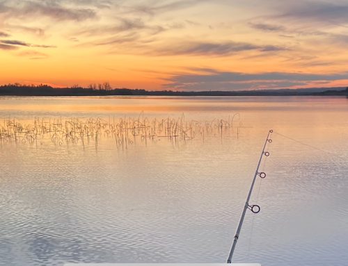 The Allure of Winter Float Fishing for Pike on Dead Baits
