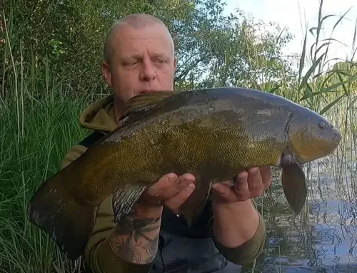 A Morning for Me: Chasing My Favourite Fish, the Tench