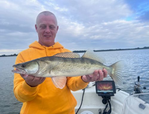 Beyond the Northwest: Chasing Zander on Amsterdam’s Mastermeer