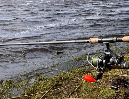 The Essential Role of Dropback Bite Indicators in Deadbaiting for Pike